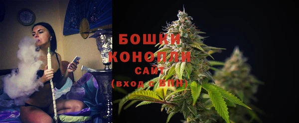 MESCALINE Аркадак