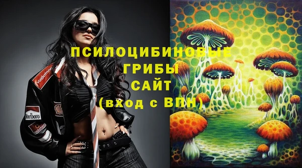 mix Арсеньев