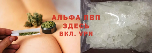 MESCALINE Аркадак