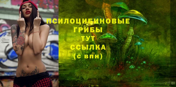 MESCALINE Аркадак