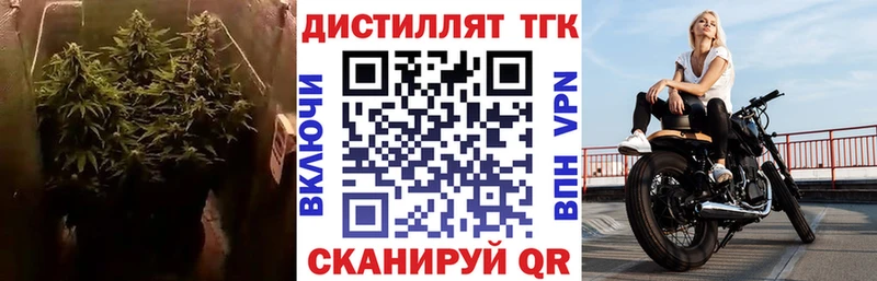 ТГК THC oil  магазин продажи   Козьмодемьянск 